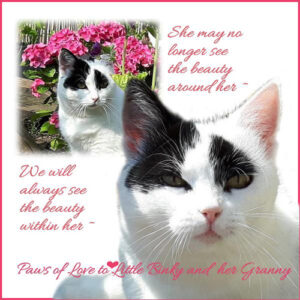 Cat-Binky